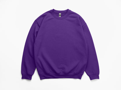 Custom 3D Puff Embroidered Mascot Sweatshirt